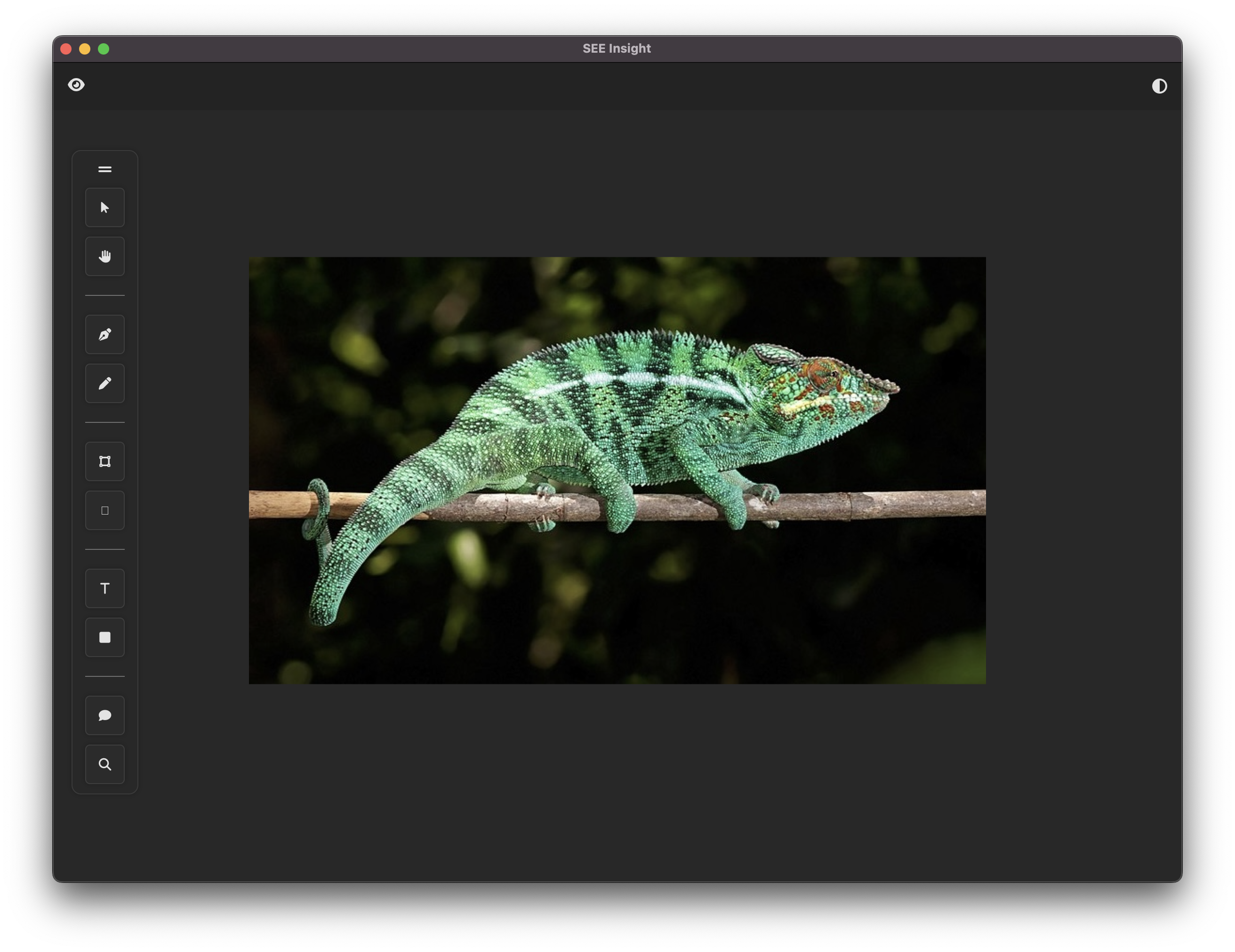 screenshot of the SEE-Insights AI app user interface showing image upload